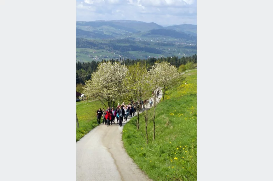 Kilkaset młodych osób uczestniczyło w Rajdzie „Beskidzkie Wyspy” - zdjęcie 4