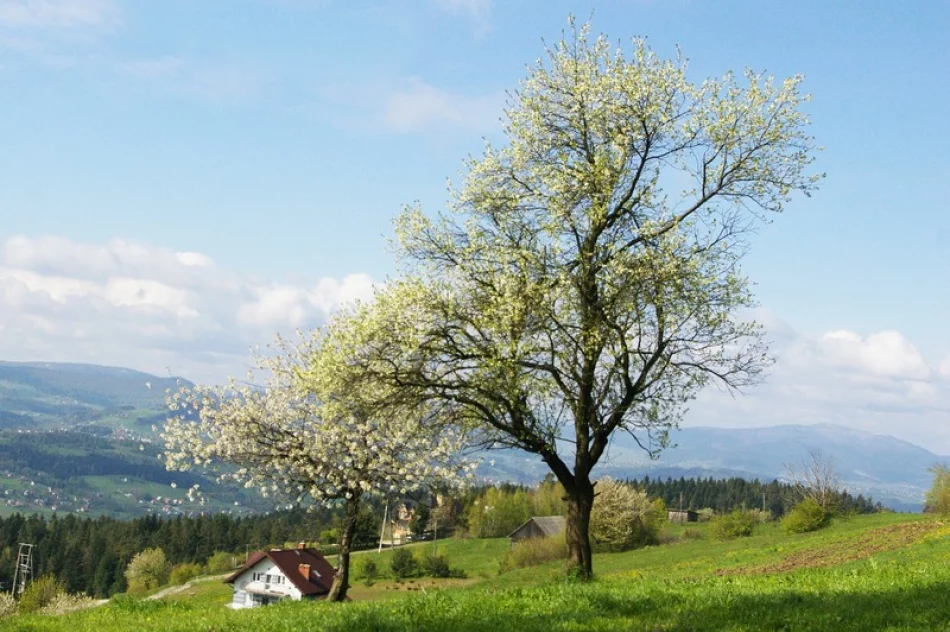 Kilkaset młodych osób uczestniczyło w Rajdzie „Beskidzkie Wyspy” - zdjęcie 10