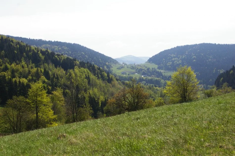 Kilkaset młodych osób uczestniczyło w Rajdzie „Beskidzkie Wyspy” - zdjęcie 16