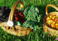 Sądecka Kooperatywa Spożywcza zaprasza na spotkanie z medycyną chińską - zdjęcie główne