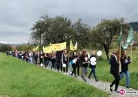 Szkolna profilaktyka uzależnień: wyszli na ulice i apelowali do kierowców - zdjęcie główne