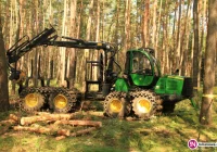 'Gospodarka leśna' na zdjęciach - zdjęcie główne