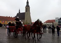 Rekonstrukcja historycznej akcji gaśniczej na limanowskim rynku oraz zawodów strażackich w Limanowej - zdjęcie główne