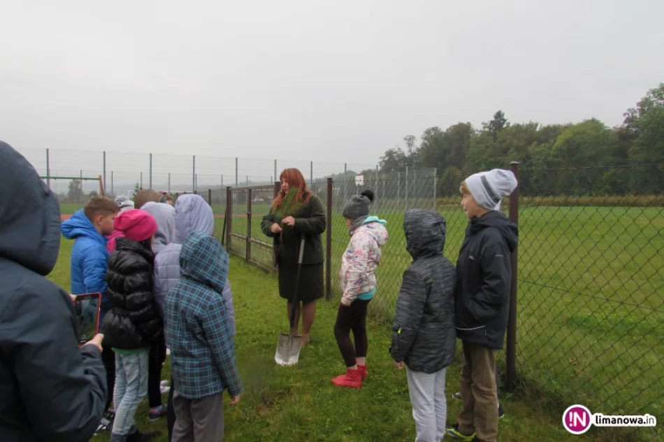 'Ekologiczny październik' w szkole - zdjęcie 3