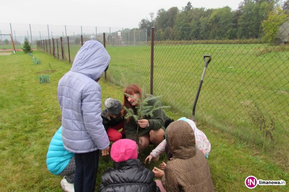 'Ekologiczny październik' w szkole - zdjęcie 4