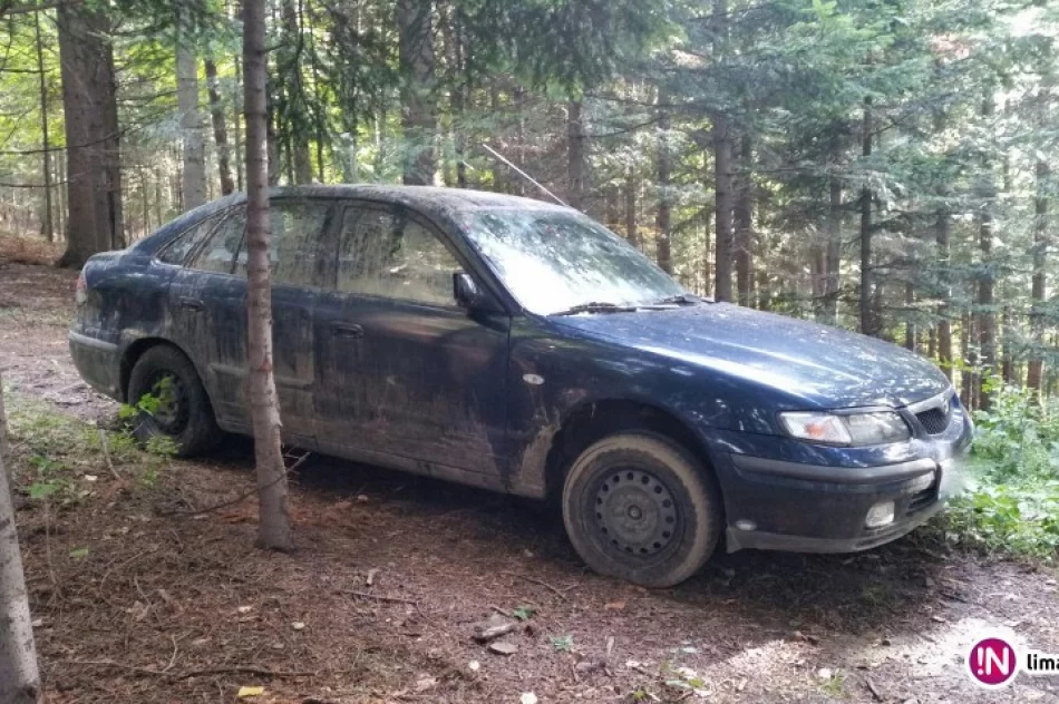 Chciał pokonać Paproć... osobową Mazdą - zdjęcie 3