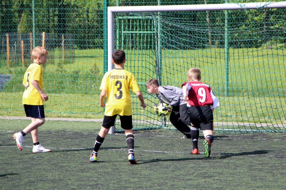 Mistrzostwa gminy w piłce nożnej chłopców i dziewczat ur. 2006 i młodszych - zdjęcie 7
