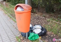 Dokumenty z banku w ulicznych koszach. Miasto zapowiada kontrolę - zdjęcie główne