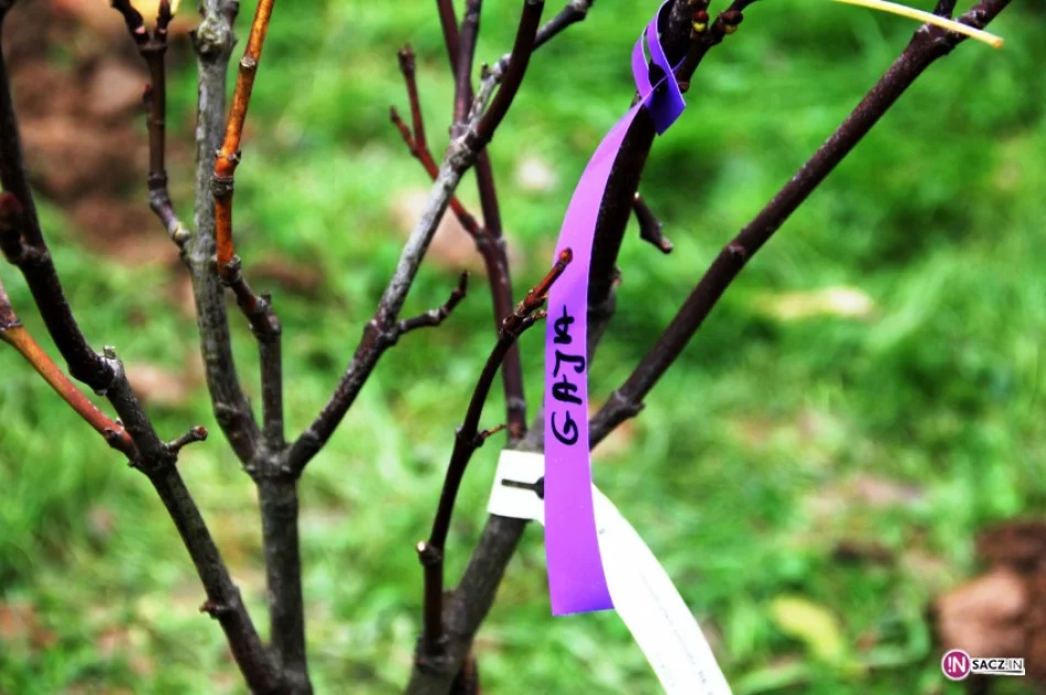 Jedyna taka szkoła w Małopolsce - zdjęcie 3