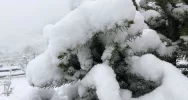 Nagły powrót zimowych warunków. W wyżej położonych miejscowościach pada śnieg - zdjęcie 5