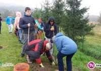 Święto Drzewa już po raz dwunasty - zdjęcie główne