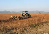 Niebezpieczny jest zawód rolnika - zdjęcie główne