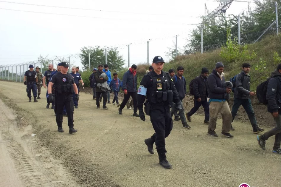 Pilnują węgierskiej granicy - zdjęcie 2