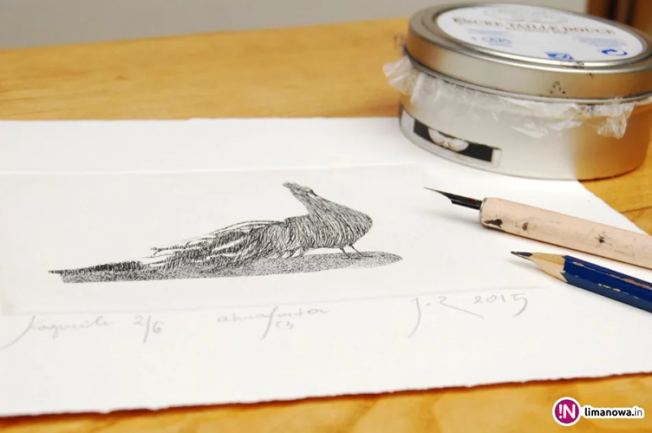 Ptactwo domowe zamiast przerysowanej sztuki współczesnej - zdjęcie 2