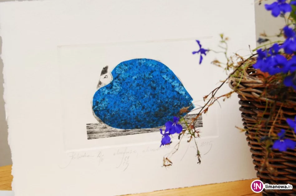 Ptactwo domowe zamiast przerysowanej sztuki współczesnej - zdjęcie 4