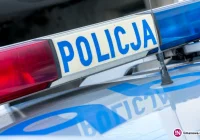 Potrącenie, dachowanie, ucieczka i zderzenie z sarną - zdjęcie główne