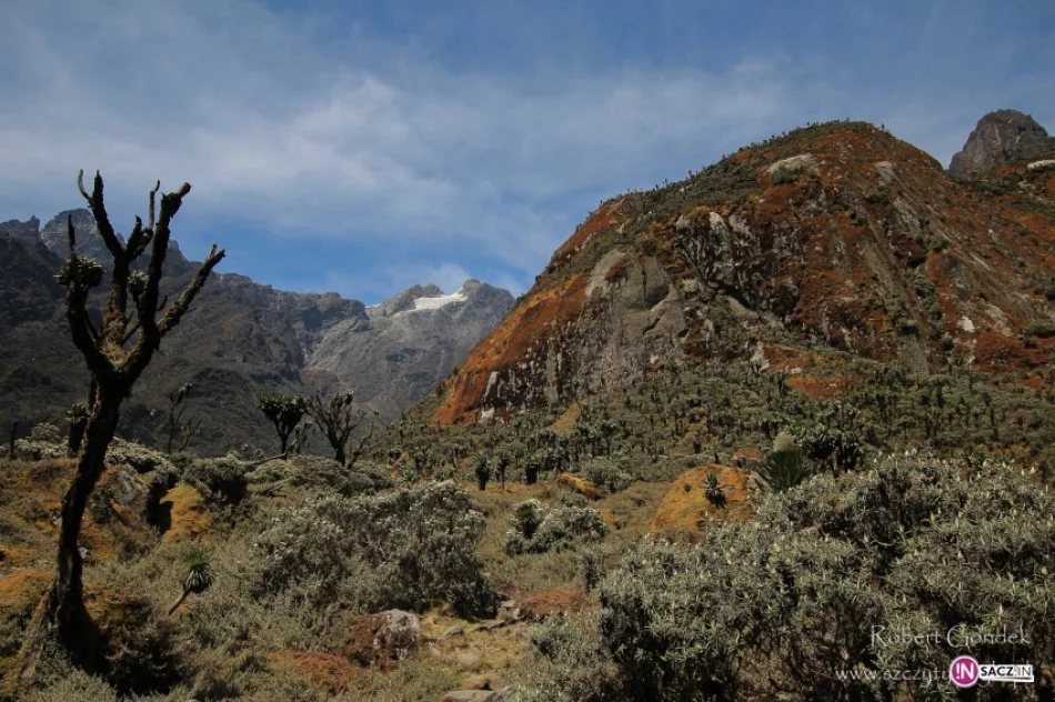 W drodze na najwyższe szczyty Afryki - zdjęcie 4