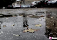 Jesień na drogach - policja apeluje o ostrożność - zdjęcie główne