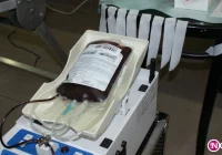 Oddaj krew z limanowskimi policjantami - zdjęcie główne