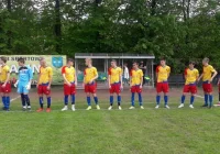 Dublet Kamila Tokarczyka, Dalin wypunktowany - zdjęcie główne