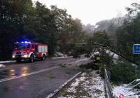40 interwencji straży, awarie energetyczne usunięte - zdjęcie główne