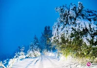 W 20 miejscowościach nie ma prądu - zdjęcie główne