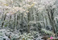 W górach sypie pierwszy śnieg - zdjęcie główne