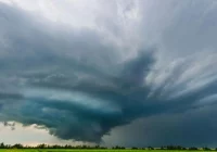 Ekspert: w Polsce odczuwamy już negatywne skutki zmian klimatu - zdjęcie główne