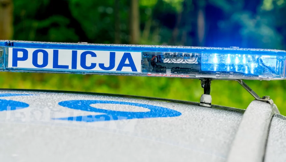 Czołowe zderzenie osobówki z dostawczym - mandat dla sprawcy - zdjęcie 1