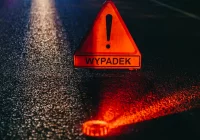Zderzenie motocyklisty z jeleniem. 29-latek w szpitalu - zdjęcie główne