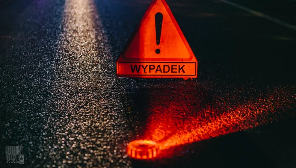 Pieszy zginął w wypadku na krajowej 28. w Świnnej Porębie - zdjęcie 1