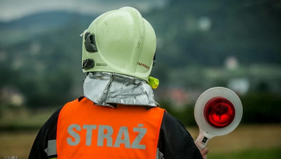 Pożar samochodu: kierowca bezpiecznie opuścił pojazd​ - zdjęcie 1