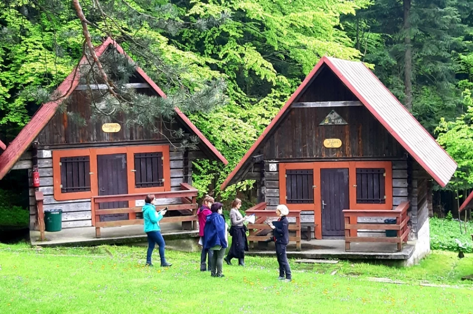 Gdzie jest skarb? Kolejny quest - zdjęcie 3