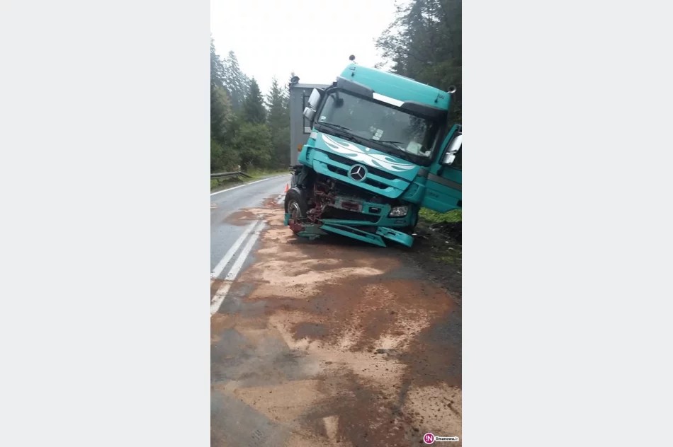 Ciężarówka wypadła z drogi - zdjęcie 4