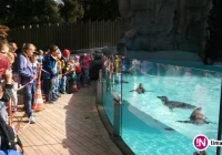 Poznawali sekrety przyrody i piekarnię 'od kuchni' - zdjęcie główne