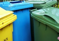 Uwaga! Rozpoczęła się jesienna wystawka - zdjęcie główne