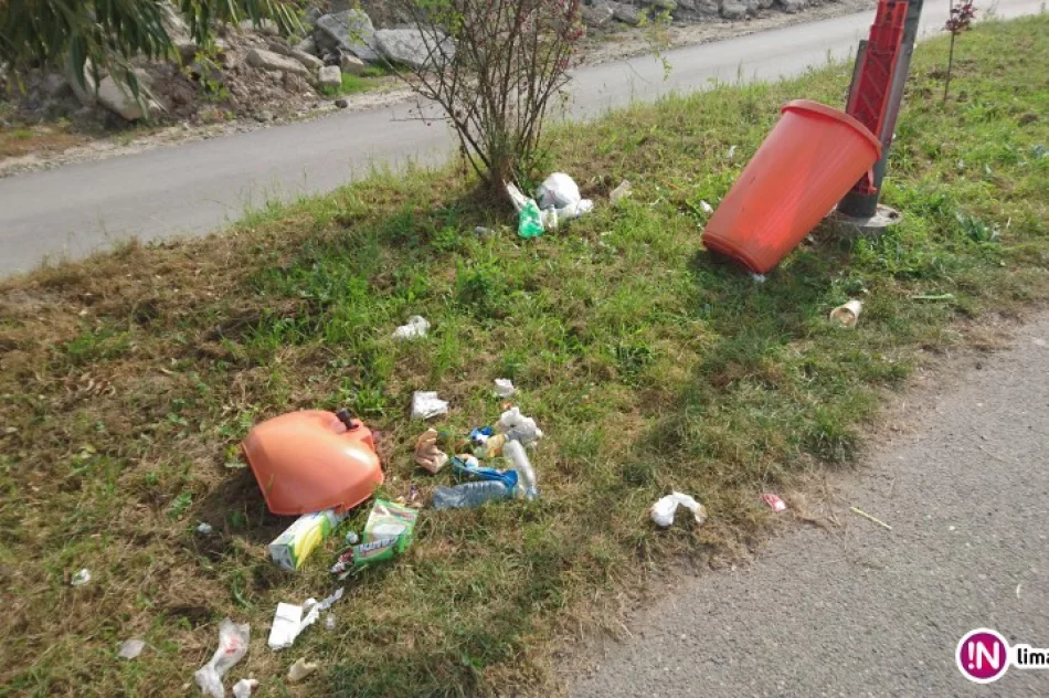 Fotointerwencja: głupota - zdjęcie 2