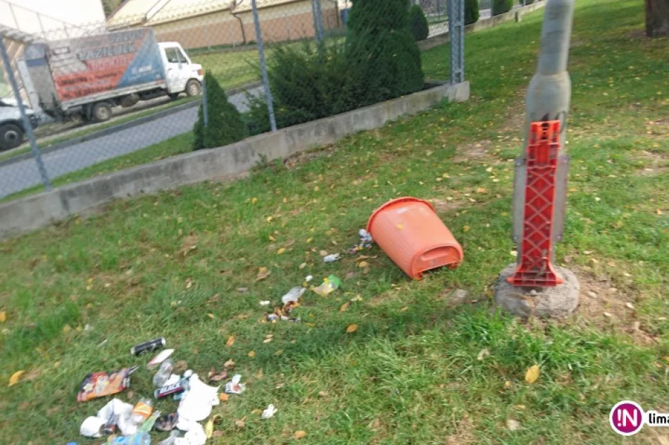 Fotointerwencja: głupota - zdjęcie 3