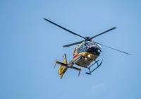 4-letnia dziewczynka miała zostać pogryziona przez psa. Na pomoc wezwano LPR - zdjęcie główne