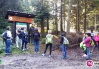 Ostatnie w tym roku eko-zajęcia dla nauczycieli - zdjęcie główne