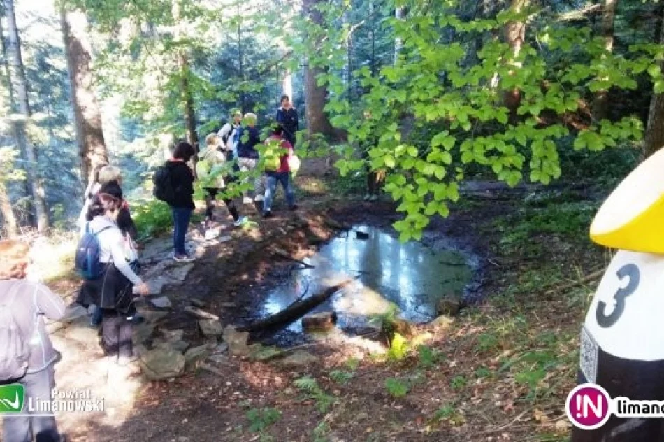 Ostatnie w tym roku eko-zajęcia dla nauczycieli - zdjęcie 2