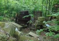 Produkowali nielegalnie alkohol... w lesie - zdjęcie główne