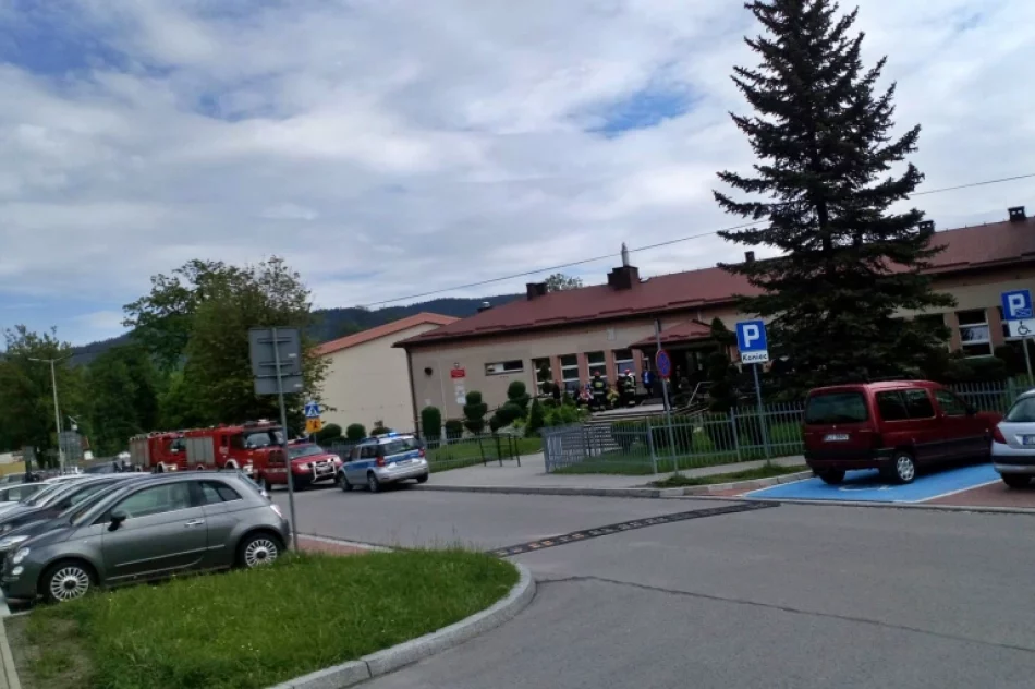 Ewakuowano około 400 osób z budynku szkoły - zdjęcie 3