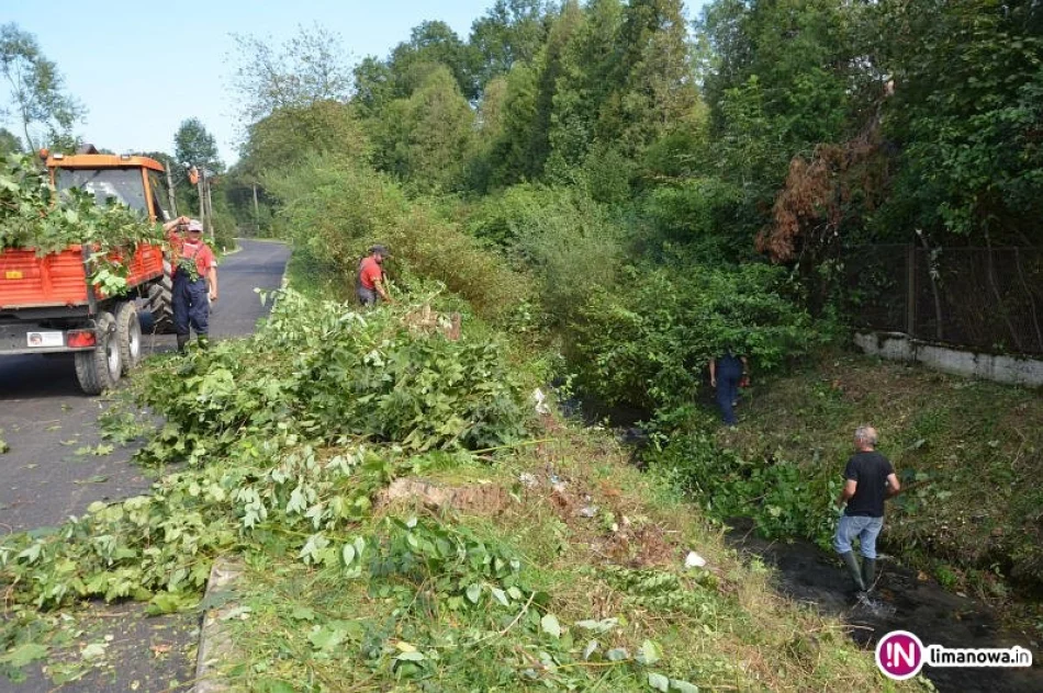 Słoneczna już wyremontowana - zdjęcie 4