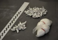 Echa „Sprawy dla reportera”: fałszywa kontrola i wyłudzenie 210 tys. zł, podrzucenie narkotyków i kierowanie ścigania - zdjęcie główne