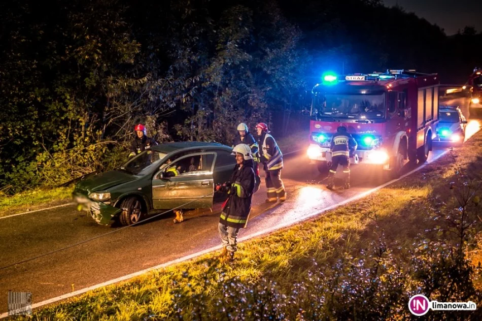 Samochód wypadł z drogi i wjechał do koryta potoku (wideo) - zdjęcie 3