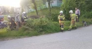 Strażacy nieśli pomoc sarnie - zdjęcie 2