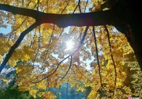 Uwaga nadchodzą - jedna dziś, druga jutro - zdjęcie główne