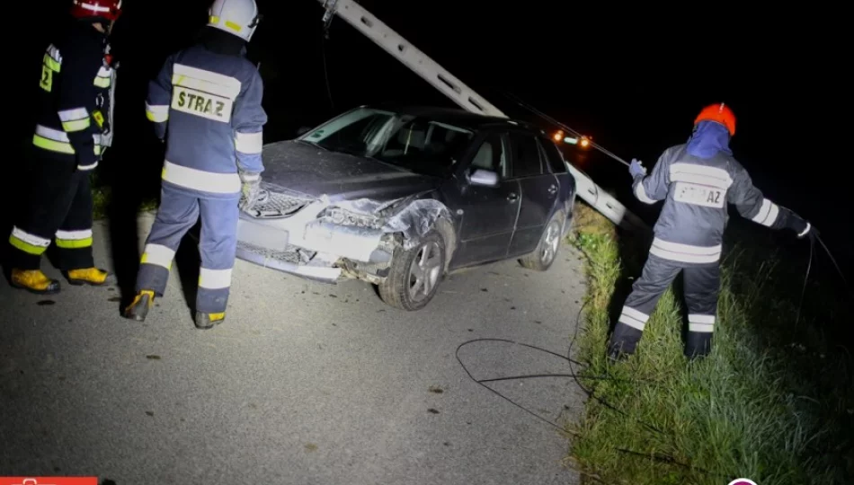 Jechał za szybko, wypadł z drogi i uderzył w słup - zdjęcie 1