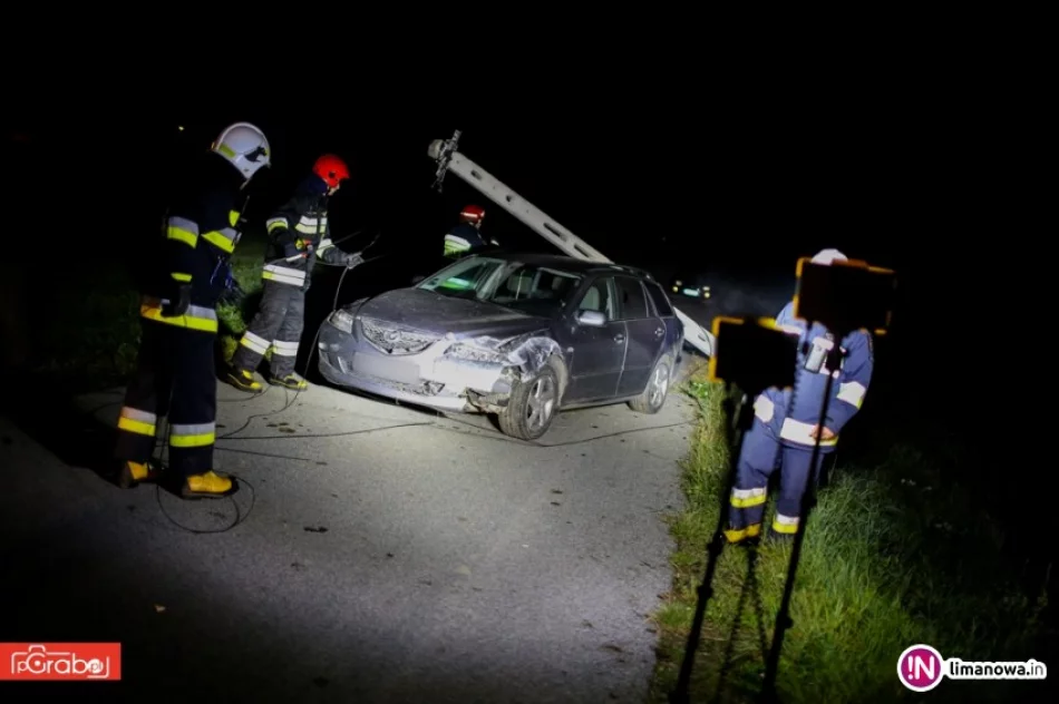 Jechał za szybko, wypadł z drogi i uderzył w słup - zdjęcie 2